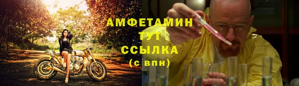 шишки Корсаков