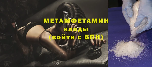 шишки Корсаков