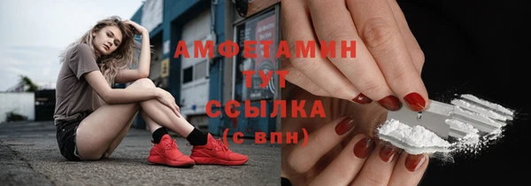 шишки Корсаков