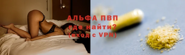шишки Корсаков
