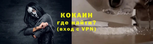шишки Корсаков