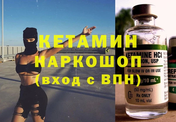 шишки Корсаков