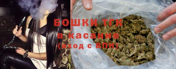 шишки Корсаков