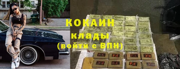 шишки Корсаков