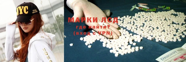 шишки Корсаков